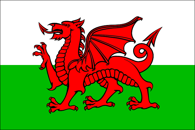 Welsh flag Baner Cymru